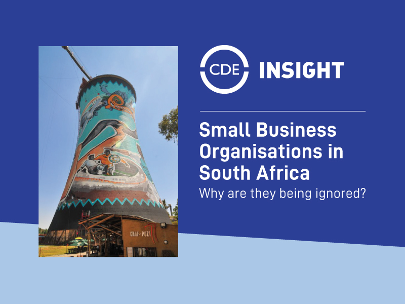 Small Business Orgainsations in South Africa | CDE Publication